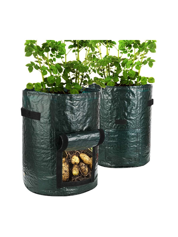 Potato Patio Planter TG4003038