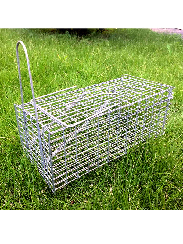 Foldable Muris Rat Cage Trap TG8002004