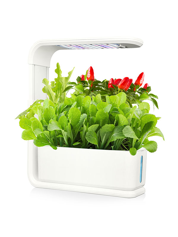 DUCTUS hydroponics systematis TL0100008 . Crescite