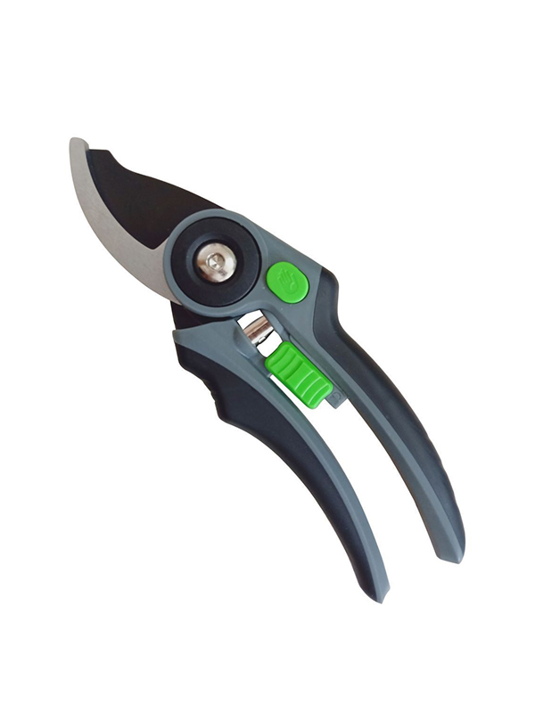 Productus manubrium incus Pruner TG1306071-A