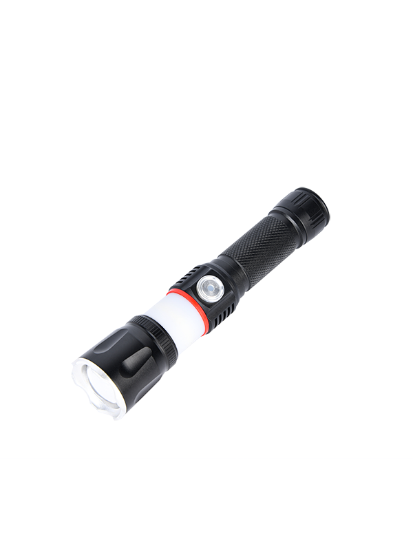 Flashlight TL0209012