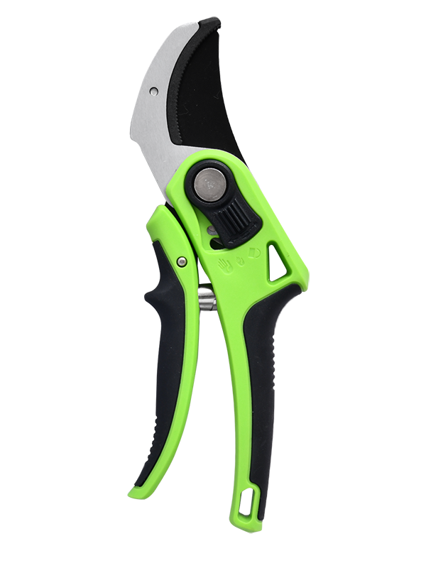 Novifacta incus Pruner TG1306048-A