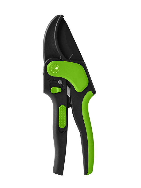 Novifacta incus rachet Pruner TG1306060